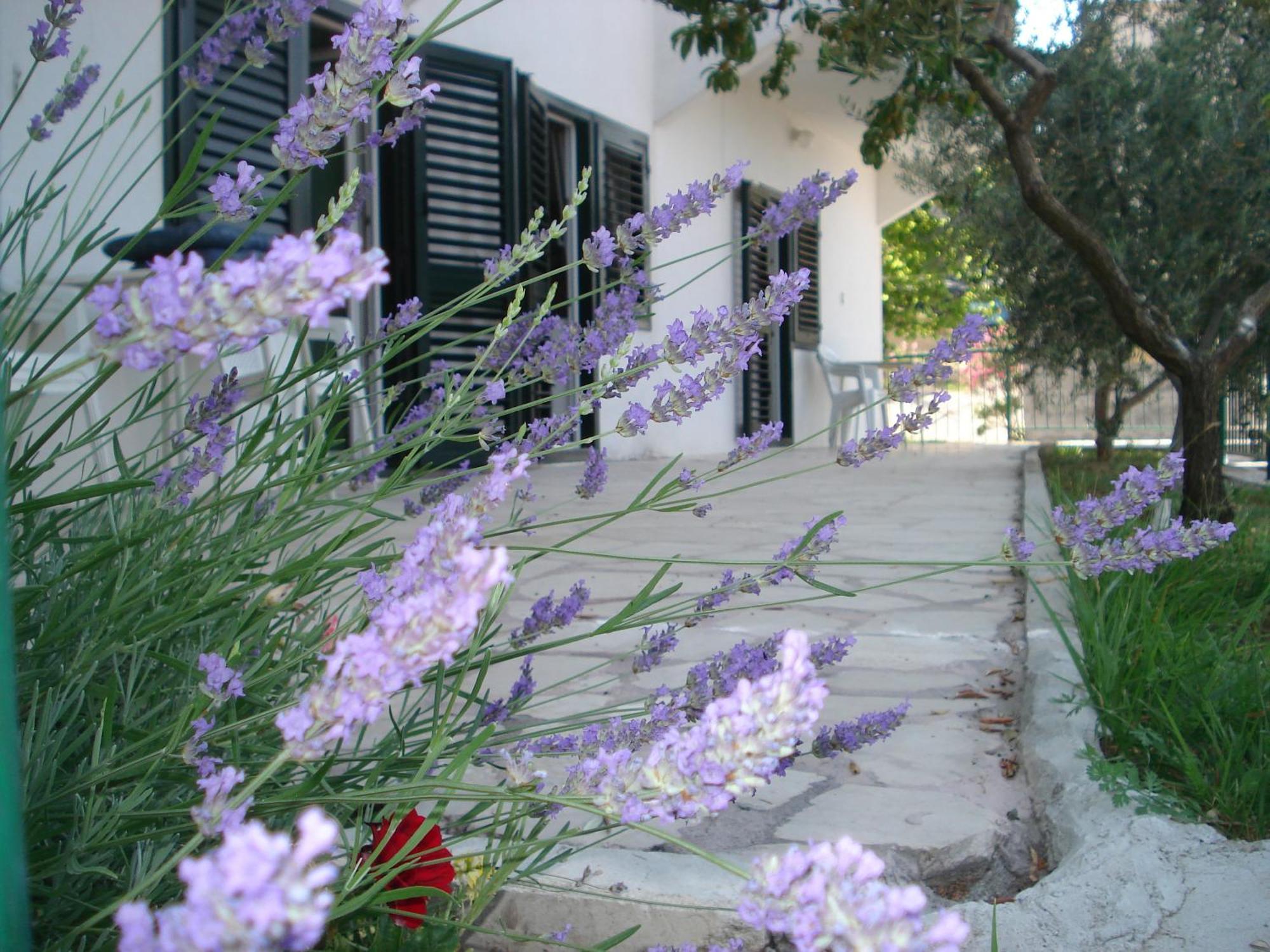 Apartments Smiljana Omiš Εξωτερικό φωτογραφία